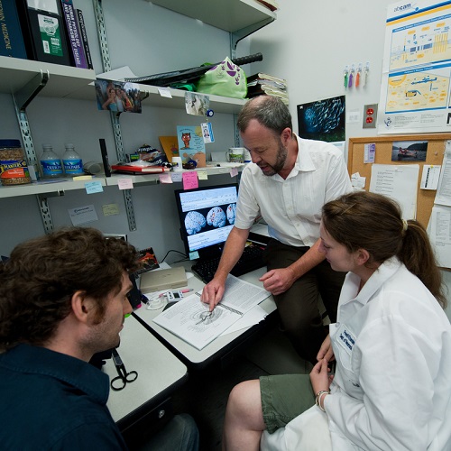 Senior researcher reviewing notes with medical students in an office